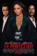 Watch The Perfect Guy Movie4k