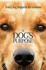 Watch A Dog's Purpose Movie4k