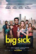 Watch The Big Sick Movie4k