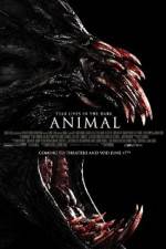 Watch Animal Movie4k