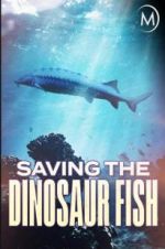 Watch Saving the Dinosaur Fish Movie4k