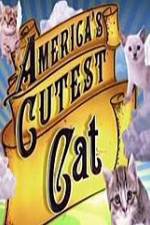 Watch America's Cutest Cat Movie4k