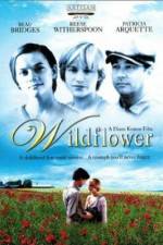 Watch Wildflower Movie4k