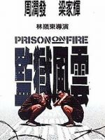 Watch Prison on Fire Movie4k