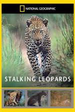 Watch National Geographic: Stalking Leopards Movie4k