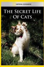 Watch National Geographic The Secret Life of Cats Movie4k