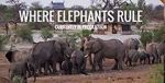 Watch Where Elephants Rule Movie4k