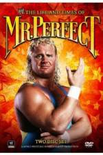 Watch The Life and Times of Mr Perfect Movie4k