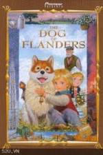 Watch The Dog of Flanders Movie4k