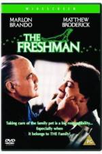 Watch The Freshman Movie4k