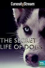 Watch Secret Life of Dogs Movie4k