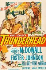 Watch Thunderhead: Son of Flicka Movie4k