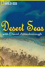 Watch Desert Seas Movie4k