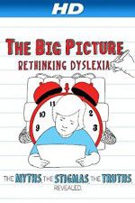 Watch The Big Picture Rethinking Dyslexia Movie4k