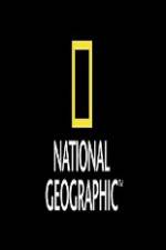 Watch National Geographic Wild Animal Attacks On Vacation Movie4k