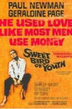 Watch Sweet Bird of Youth Movie4k