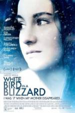 Watch White Bird in a Blizzard Movie4k