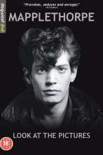 Watch Mapplethorpe: Look at the Pictures Movie4k