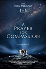 Watch A Prayer for Compassion Movie4k