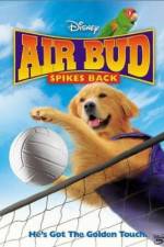 Watch Air Bud Spikes Back Movie4k