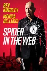 Watch Spider in the Web Movie4k