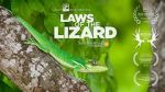 Watch Laws of the Lizard Movie4k