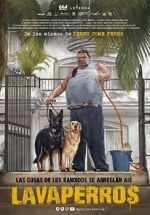 Watch Dogwashers Movie4k