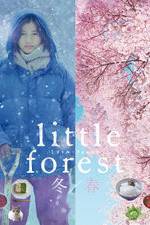 Watch Little Forest: Winter/Spring Movie4k