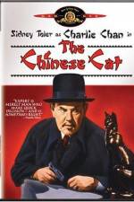 Watch Charlie Chan in The Chinese Cat Movie4k