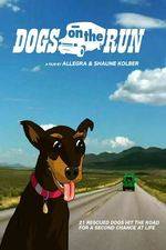 Watch Dogs on the Run Movie4k