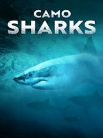 Watch Camo Sharks Movie4k