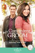 Watch The Convenient Groom Movie4k