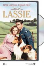 Watch Son of Lassie Movie4k