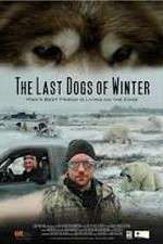 Watch The Last Dogs of Winter Movie4k