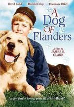 Watch A Dog of Flanders Movie4k