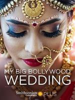 Watch My Big Bollywood Wedding Movie4k