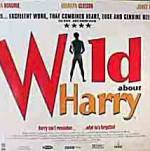 Watch Wild About Harry Movie4k