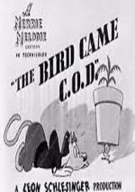 Watch The Bird Came C.O.D. (Short 1942) Movie4k