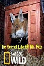 Watch The Secret Life of Mr. Fox Movie4k