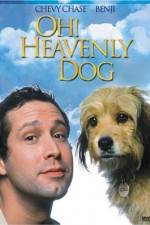 Watch Oh Heavenly Dog Movie4k