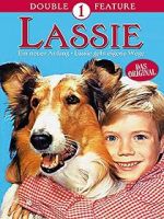 Watch Lassie: A New Beginning Movie4k