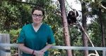 Watch Sue Perkins and the Chimp Sanctuary Movie4k