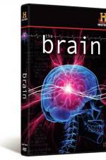 Watch The Brain Movie4k