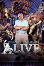 Watch David Attenborough\'s Natural History Museum Alive Movie4k