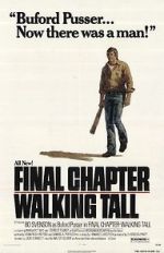 Watch Final Chapter: Walking Tall Movie4k