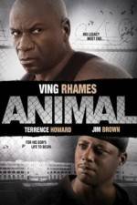 Watch Animal Movie4k