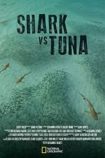 Watch Shark vs Tuna Movie4k