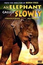 Watch An Elephant Called Slowly Movie4k