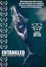 Watch Entangled: The Race to Save Right Whales from Extinction Movie4k