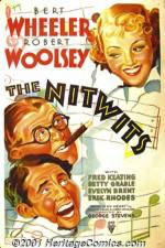 Watch The Nitwits Movie4k